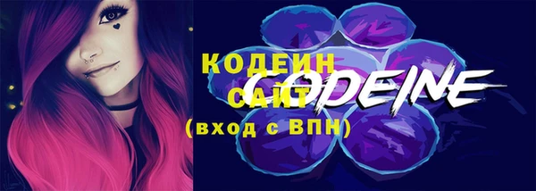 шишки Богородск