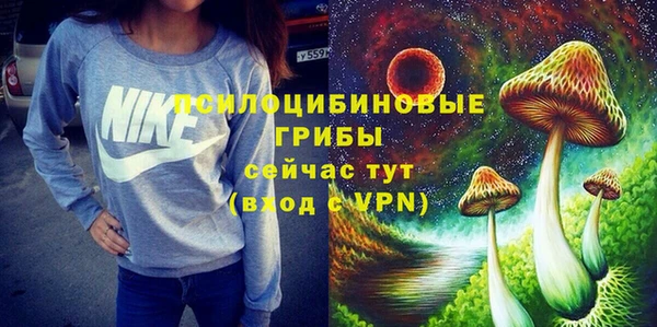 соль ск Лиски