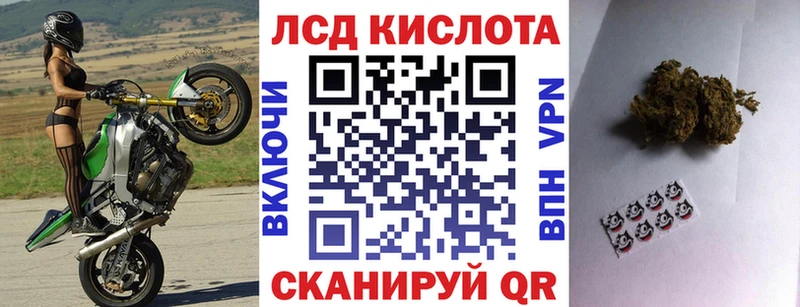 Марки N-bome 1500мкг  закладки  Чайковский 