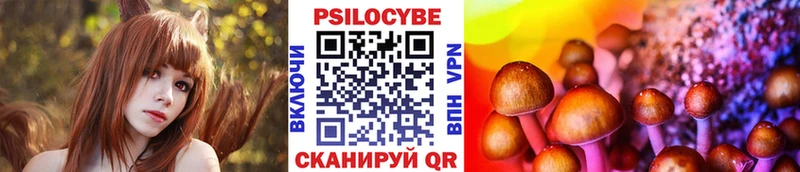 ссылка на мегу   Чайковский  Псилоцибиновые грибы MAGIC MUSHROOMS 
